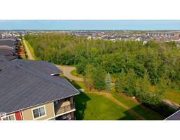 #317 1060 Mcconachie Bv Nw, Edmonton, AB T5Y0W9 Photo 26