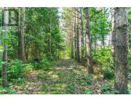 3891 9 Line N, Oro Medonte, ON L0K1E0 Photo 27