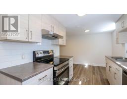 Basement - 258 Napier Street, Barrie, ON L4M1X7 Photo 19