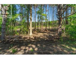 3891 9 Line N, Oro Medonte, ON L0K1E0 Photo 28