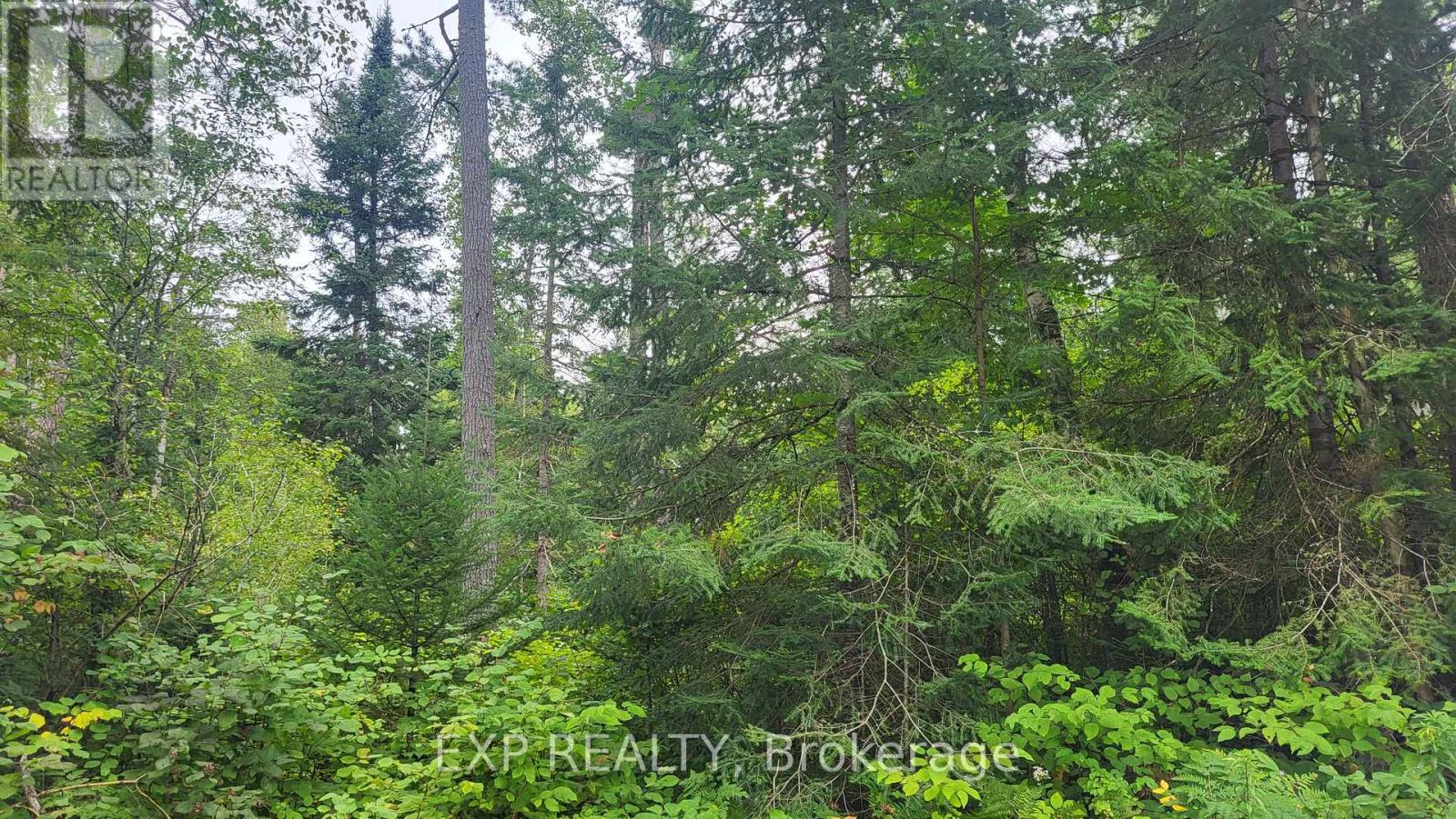 00 SIPOLINS ROAD - Image 43