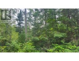 00 Sipolins Road, Greater Madawaska, ON K0J2R0 Photo 43