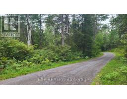 00 Sipolins Road, Greater Madawaska, ON K0J2R0 Photo 45