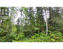 00 Sipolins Road, Greater Madawaska, ON K0J2R0 Photo 50