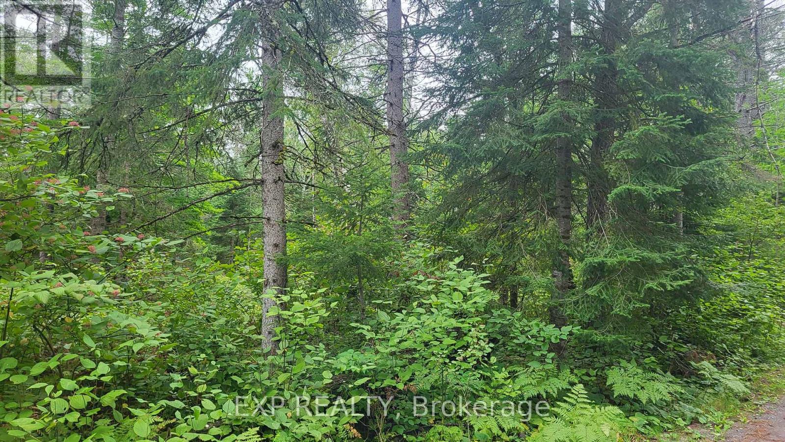 00 SIPOLINS ROAD - 47