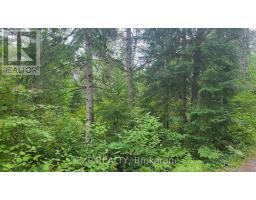 00 Sipolins Road, Greater Madawaska, ON K0J2R0 Photo 47
