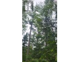 00 Sipolins Road, Greater Madawaska, ON K0J2R0 Photo 49