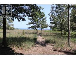17818 Lakeshore Road, Rondeau Park, ON N0P1X0 Photo 17