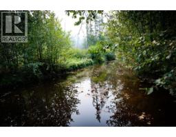 804 Applegrove Road, Fauquier, BC V0G1J0 Photo 56