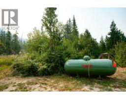 804 Applegrove Road, Fauquier, BC V0G1J0 Photo 46