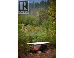 804 Applegrove Road, Fauquier, BC V0G1J0 Photo 54