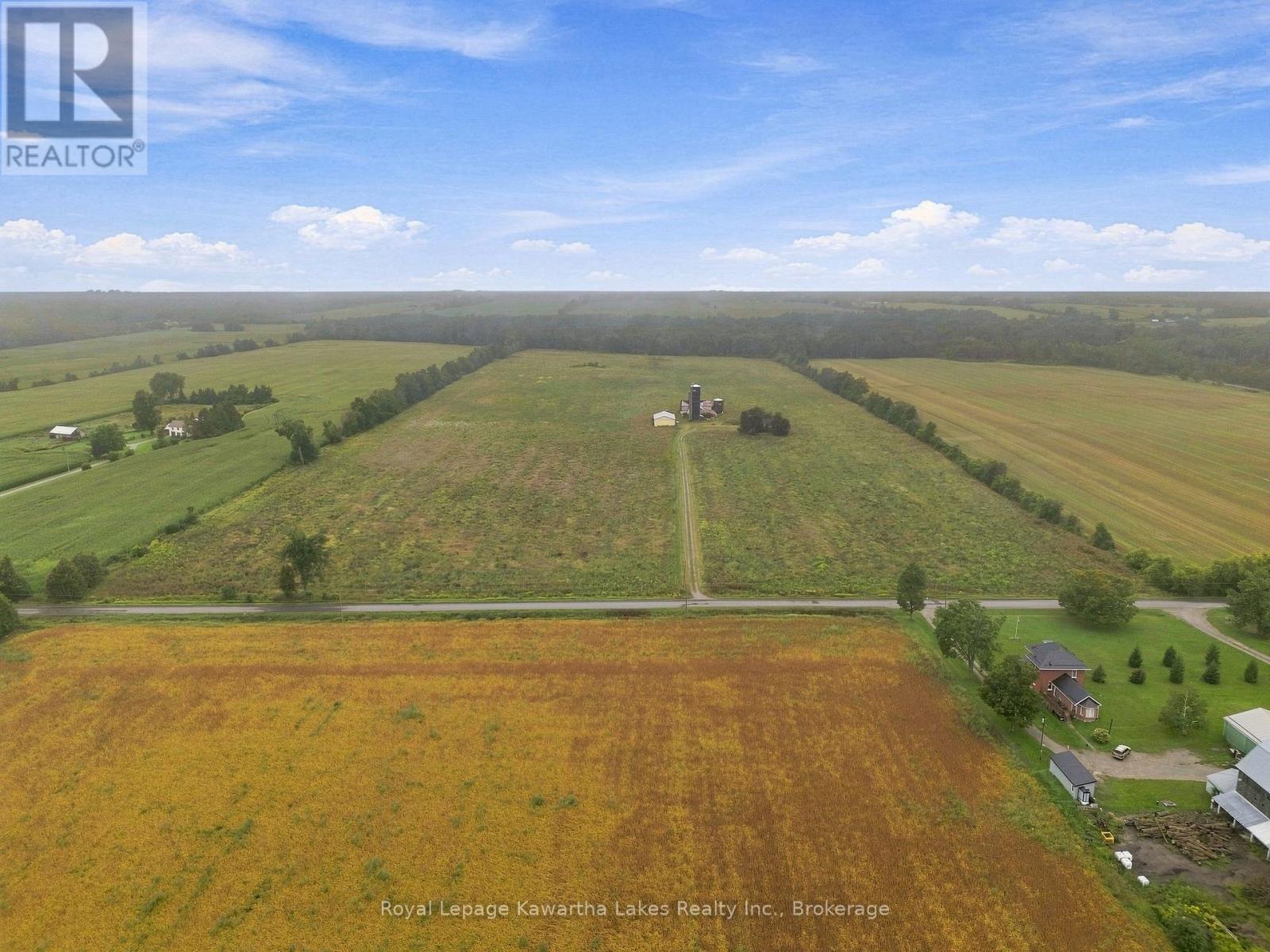 583 HILLHEAD ROAD, Kawartha Lakes (Ops) — photo 4
