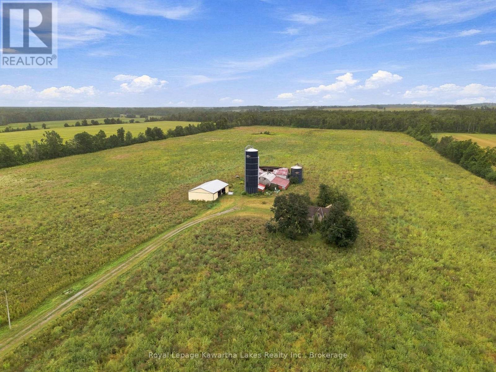 583 HILLHEAD ROAD, Kawartha Lakes (Ops) — photo 5