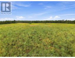 583 Hillhead Road, Kawartha Lakes, ON K0L2X0 Photo 10