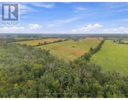 583 Hillhead Road, Kawartha Lakes, ON K0L2X0 Photo 13