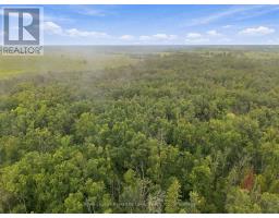 583 Hillhead Road, Kawartha Lakes, ON K0L2X0 Photo 14