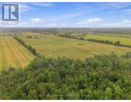 583 Hillhead Road, Kawartha Lakes, ON K0L2X0 Photo 17