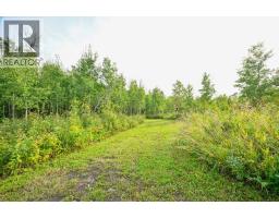 743046 Range Road 41 Range, Rural Grande Prairie No  1, County Of, AB T0H3C0 Photo 33