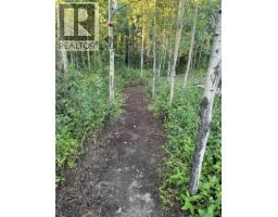 743046 Range Road 41 Range, Rural Grande Prairie No  1, County Of, AB T0H3C0 Photo 34