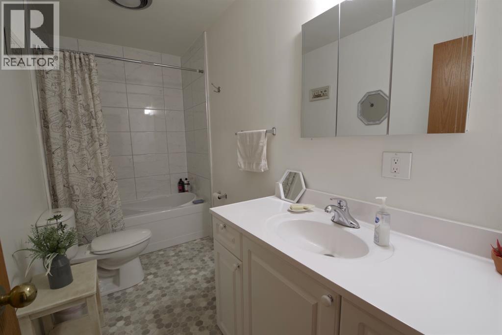 95005 Range Rd 154, Taber, AB - Image 18