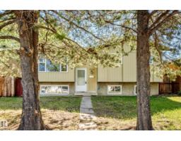 3723 63 St Nw, Edmonton, AB T6L1R1 Photo 46