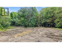 5493 Mcmann Side Road, Tay, ON L0K2E0 Photo 7