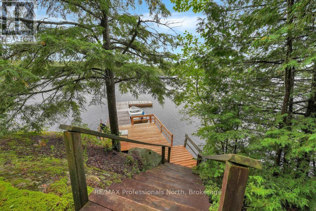 1036 BAD HABIT TRAIL - Image 37
