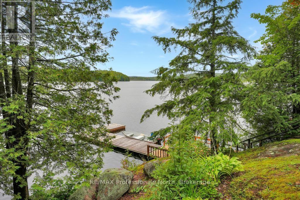 1036 BAD HABIT TRAIL - Image 38
