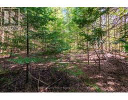 Unit 6 Stokes Bay Road, Northern Bruce Peninsula, ON N0H1W0 Photo 19
