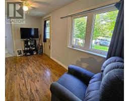 59 Salter Avenue, Truro, NS B2N1A6 Photo 19