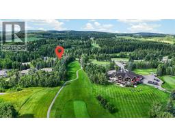 12 Sunset Way, Priddis Greens, AB T0L1W3 Photo 41