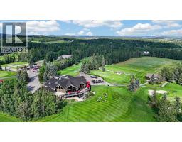 12 Sunset Way, Priddis Greens, AB T0L1W3 Photo 39