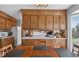Recreation room - 17206 111a St Nw, Edmonton, AB T5X3K2 Photo 10