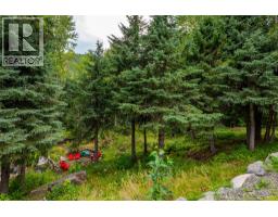1324 Burfield Drive, Kamloops, BC V0E5N0 Photo 39