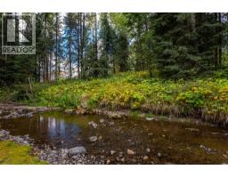 1324 Burfield Drive, Kamloops, BC V0E5N0 Photo 43