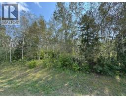 5260 38 Street, Ponoka, AB T4J1C8 Photo 7