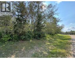 5260 38 Street, Ponoka, AB T4J1C8 Photo 9