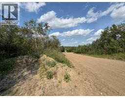5260 38 Street, Ponoka, AB T4J1C8 Photo 18