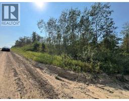 5260 38 Street, Ponoka, AB T4J1C8 Photo 16