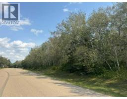 5260 38 Street, Ponoka, AB T4J1C8 Photo 6