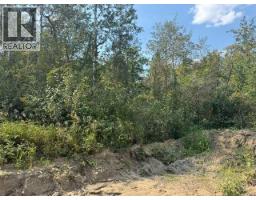5260 38 Street, Ponoka, AB T4J1C8 Photo 15