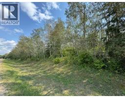 5260 38 Street, Ponoka, AB T4J1C8 Photo 8