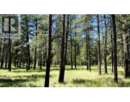 4836 Kennedy Road Lot# 2, Cranbrook, BC V1C7C1 Photo 68