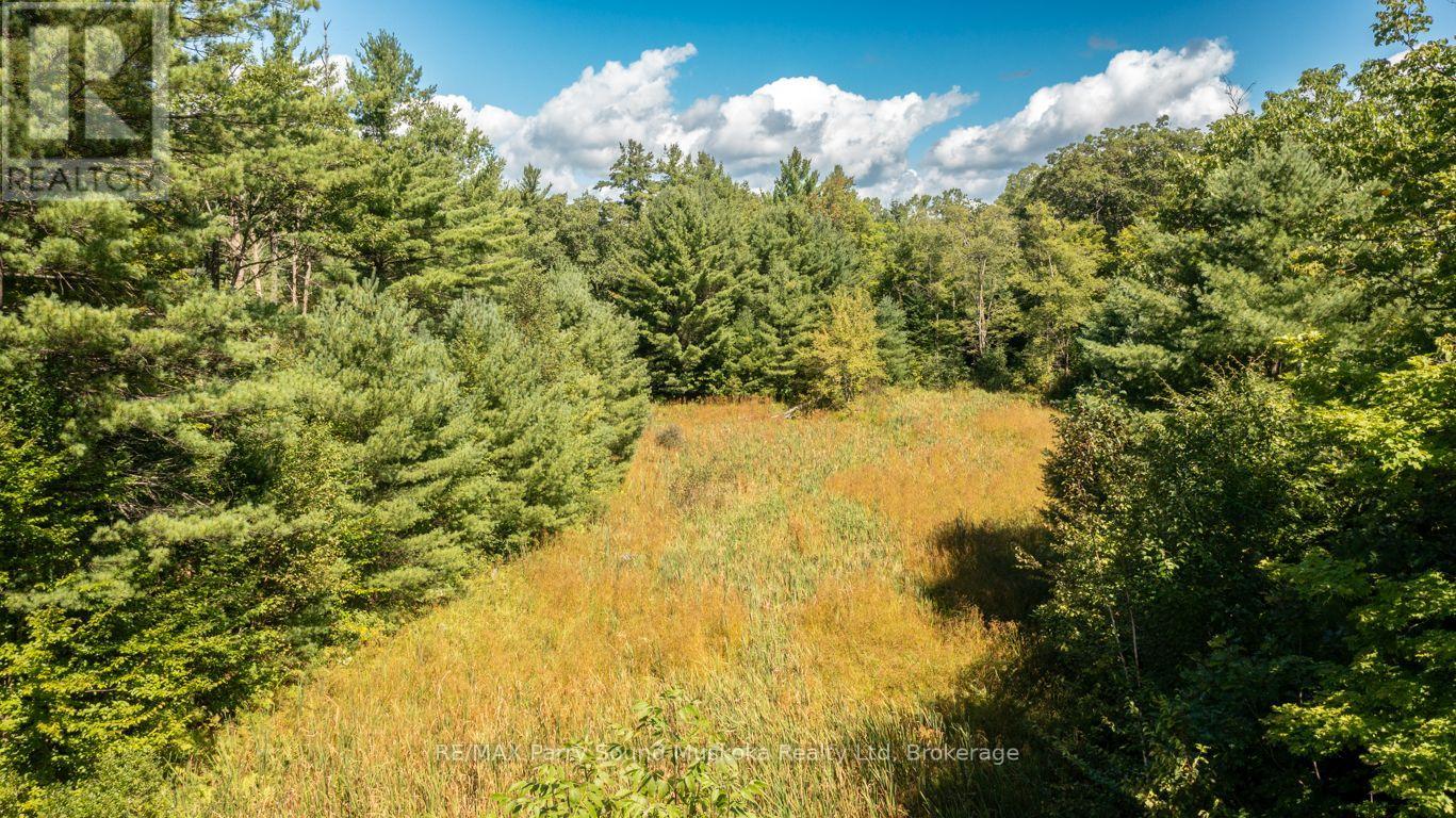 290 RANKIN LAKE ROAD - Image 39