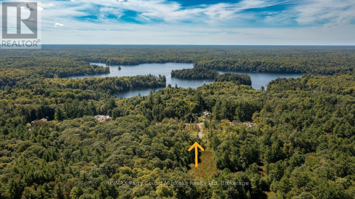 290 RANKIN LAKE ROAD - Image 40
