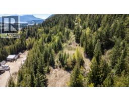 Kitchen - Planned Lot 1 Tappen Notch Hill Road, Tappen, BC V0E2X3 Photo 6