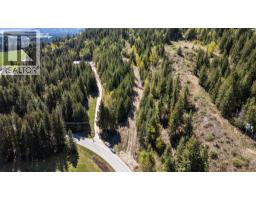 Planned Lot 1 Tappen Notch Hill Road, Tappen, BC V0E2X3 Photo 10
