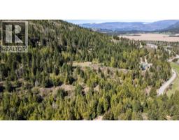 Planned Lot 1 Tappen Notch Hill Road, Tappen, BC V0E2X3 Photo 9