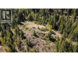 Planned Lot 2 Tappen Notch Hill Road, Tappen, BC V0E2X3 Photo 18