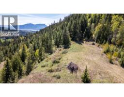 Planned Lot 2 Tappen Notch Hill Road, Tappen, BC V0E2X3 Photo 20